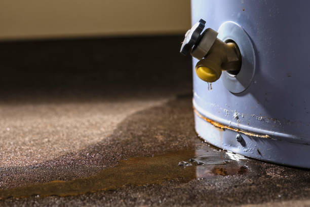 Reliable Pinetop Lakeside, AZ Water damage restoration Solutions