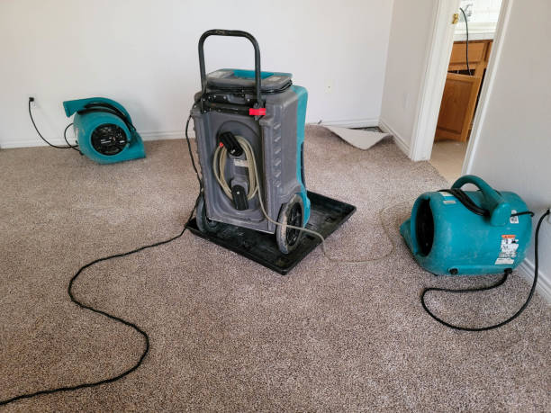 Best Carpet water damage restoration  in Pinetop Lakeside, AZ