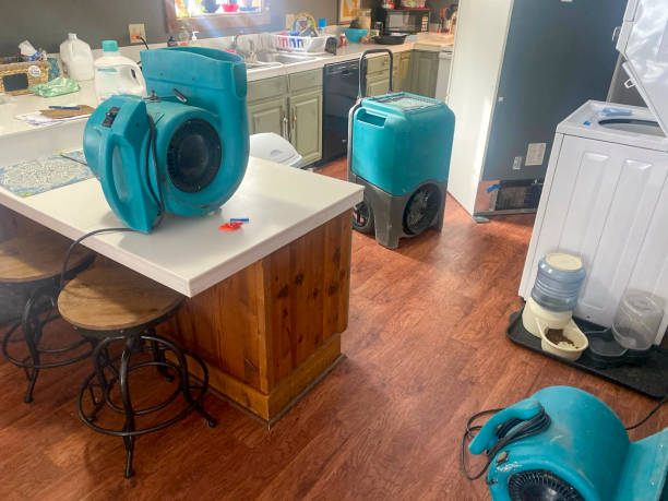 Water damage restoration experts in Pinetop Lakeside, AZ