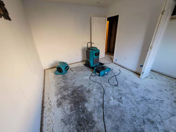 Best Ceiling water damage repair  in Pinetop Lakeside, AZ