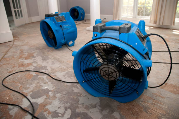Best Flooded house restoration  in Pinetop Lakeside, AZ