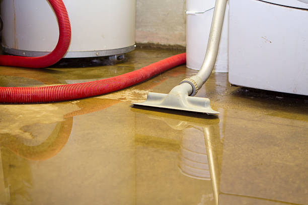 Best Water damage cleanup near me  in Pinetop Lakeside, AZ