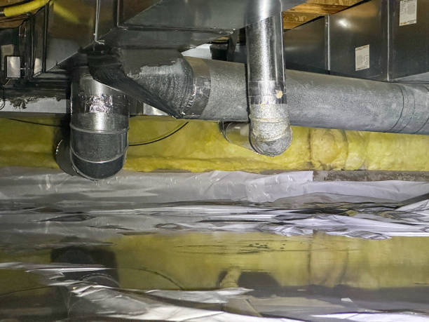 Best Fire Damage Restoration  in Pinetop Lakeside, AZ