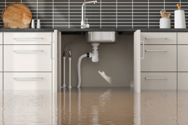 Best Local water damage restoration  in Pinetop Lakeside, AZ