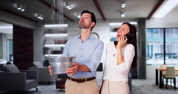 Best Water damage restoration experts  in Pinetop Lakeside, AZ