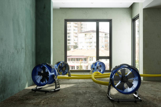 Best Emergency water damage restoration  in Pinetop Lakeside, AZ